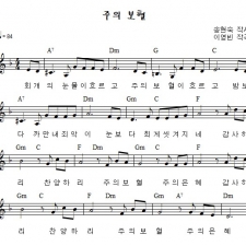 주의 보혈